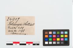 Etiketten zu Bronzearmreif (NHMW-PRAE-024907)